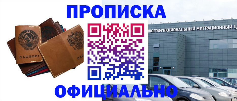 прописка в квартире в Шилке